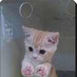 너네 꿈이나 <b>장래</b>희망이 어떻게돼?