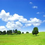 <b>Still</b> loving you