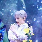 <b>시오</b>밍석아 야옹해봐