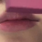 또잉 스쉐틴트 개 이쁜데