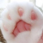남친 어떻게 <b>차지</b>..