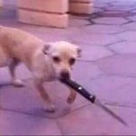 [댓글부탁해] <b>나혼</b>렙 보는 애들 있냐?? ㅠㅠㅠ