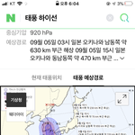 부상 애들아 2연속 <b>직빵</b> 태풍온다 살아서 보자