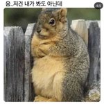 [댓글부탁해] 요즘 <b>병문</b>안 가도 ㄱㅊ?