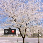 [빅톤] 사진 <b>출처</b> 아는 사람ㅜㅜ