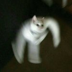 [이것좀봐줘] <b>ai</b>가