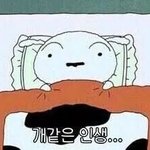 [이것좀봐줘] 너네 공공의대 이야기 알지?