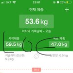 [힘내자] 다이어트 32일차+치팅데이 후기