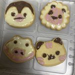 얼초 동물그리기 후기
