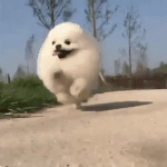 [드루와] 얘드랑 나 <b>추리</b>소설 쓰는데 도와줘