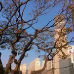 [댓글부탁해] 제가 찍은 사진인데 어떤가요