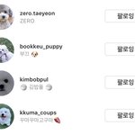 [댓글부탁해] 연예인 강아지 인스타계정 알려주ㅏ라ㅠㅠㅠ