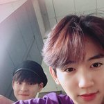 [모두드루와] 트레저 <b>마시</b>호 진짜
