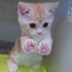 와 양<b>홍원</b> 인스타 봤냐