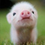 [추반] 인스타 3일에 한번씩 올리면 <b>도배</b>야??