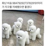 [댓글부탁해] 오늘 맨투맨에 <b>청바지</b> 에바야?