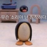 [이것좀봐줘] 얘들앙 ❗️❗️