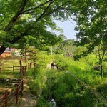 [댓글부탁해] <b>청량</b>한 여돌 노래 추천해주라!!!!!