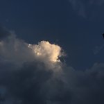 자기가 찍은 예쁜 사진 공유해<b>주라</b>