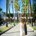 [이것좀봐줘] 삶의 이유를 나에게 <b>두라</b>~