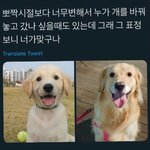 [드루와] 김치볶음밥이랑 <b>두유</b>
