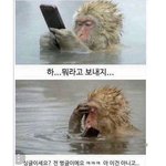 허리 얇은 애들아