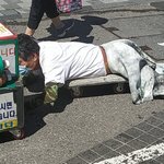<b>왕꿈틀</b>이.jpg
