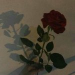[댓글부탁해] 이남자 섹스할때 욕하면서 때리면 설렐듯