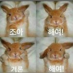 [댓글부탁해] @@@소설 쓴거 평가좀 해줘@@@
