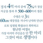 [19] 와 나 <b>방석</b>에 똥자국 묻힘...