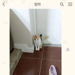 [드루와] 얘들아 살빼면 <b>일자</b>다리 됨?