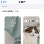 배경<b>화면</b> 뭔지 풀고가장