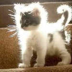 [댓글부탁해] 야 <b>tmi</b>엔 어떻게 대처하냐