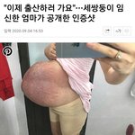 [드루와] <b>세쌍둥이</b> 임신한 배 봐