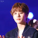 우리 강아지 좀 봐