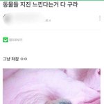 [댓글부탁해] 아헤<b>가오</b> 하는 개 귀엽다 추반