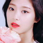[댓글부탁해] 얘 <b>완전</b> 제왑상 아니냐