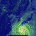 와 태풍 ㅈㄴ 크네