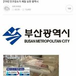 [드루와] 부산 인구 <b>감소</b>... 여초 반응 ㄷㄷㄷㄷ