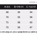 [댓글부탁해] 챔피온 후드<b>집</b><b>업</b> 사이즈 ㅊㅂ