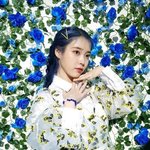 [댓글부탁해] 옆집 조카 짜증나는데 방법 없을까ㅠㅠㅠㅠ