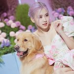 로제 탈색모 잘어울리는 이유가