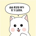 [댓글부탁해] 야 왜 일주일의 <b>구성</b>이 이렇게 돼 있는거임?