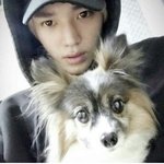 [NCT] <b>강아지별</b>에 되게 무뎌졌다고 생각했는데