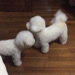 얘두라 나 <b>블로그</b>마켓 하눈데 ,,