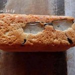 외퀴들 왜저래?;;