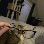 고민 들어줄 <b>샤람</b>