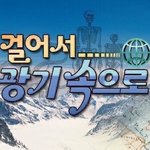 [NCT] 나 진짜 보고싶은거 있어