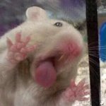 끄오ㅗ<b>오오</b>ㅗ아아아ㅏ아아아아거ㅏ아아아ㅏ아아러ㅏ가아라아ㅏ아아어ㅓㅇㄱ