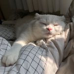 <b>사랑행</b> 이년드라